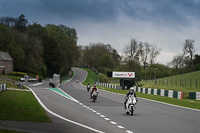 Lower Group White Bikes